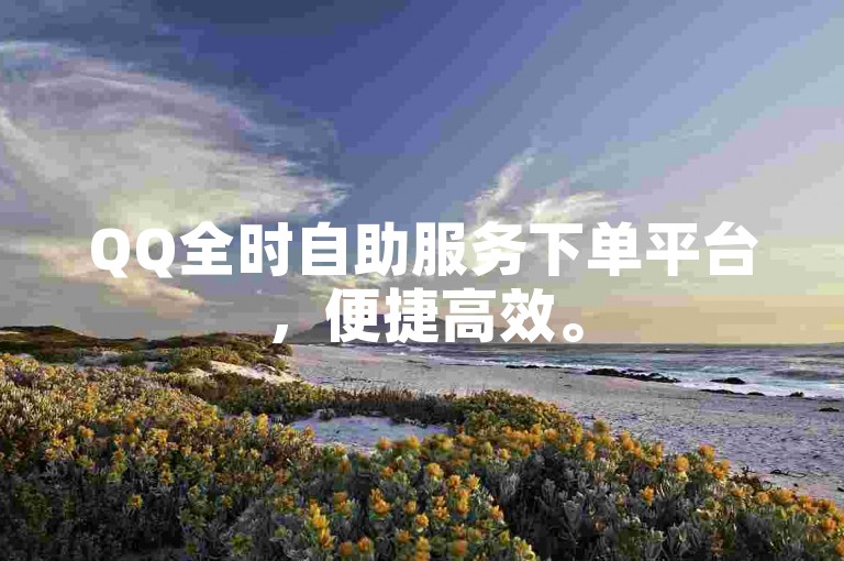 QQ全时自助服务下单平台，便捷高效。