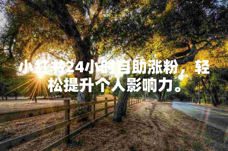 小红书24小时自助涨粉，轻松提升个人影响力。