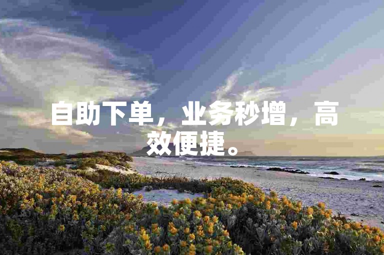 自助下单，业务秒增，高效便捷。