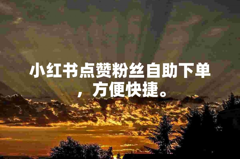 小红书点赞粉丝自助下单，方便快捷。