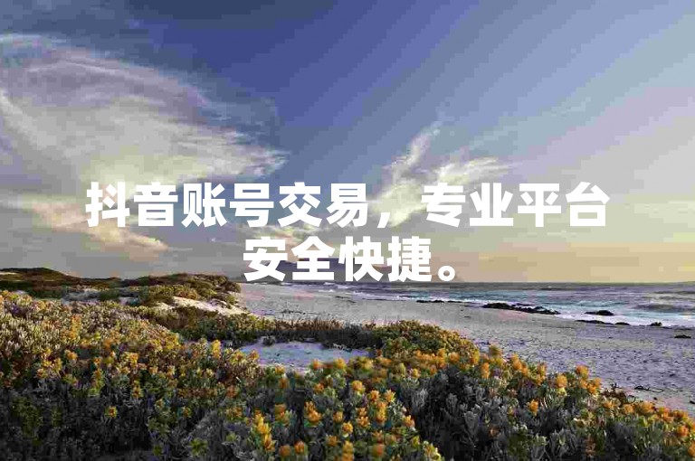 抖音账号交易，专业平台安全快捷。