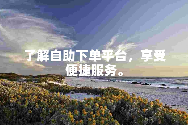 了解自助下单平台，享受便捷服务。
