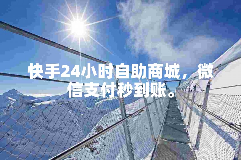 快手24小时自助商城，微信支付秒到账。