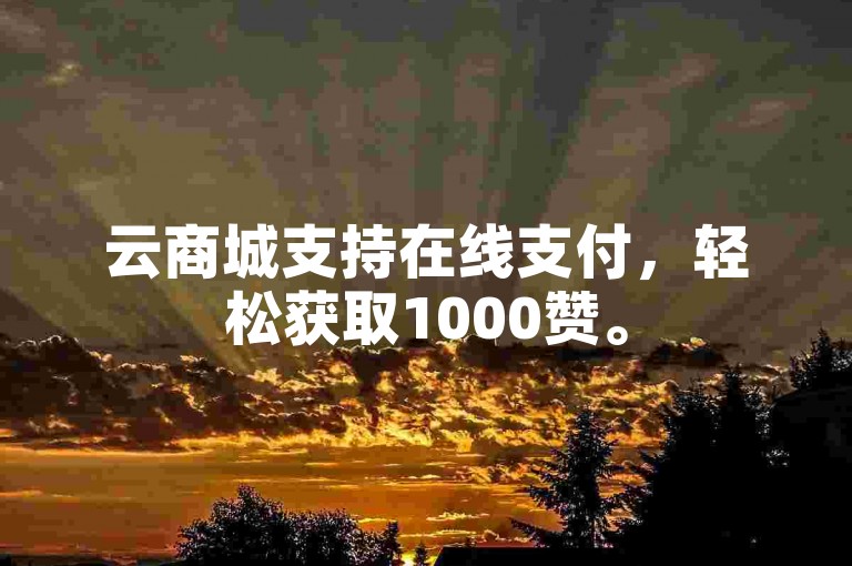 云商城支持在线支付，轻松获取1000赞。