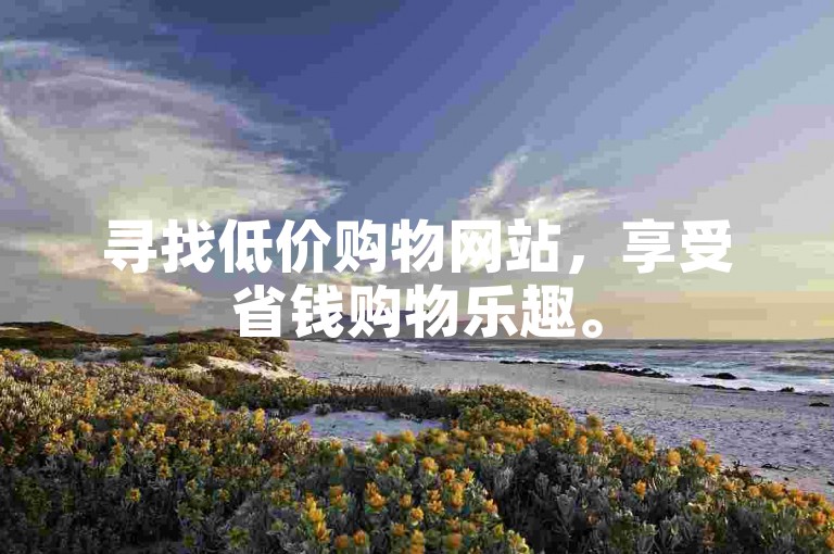 寻找低价购物网站，享受省钱购物乐趣。