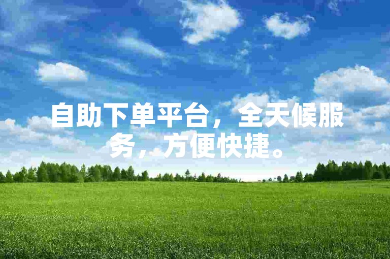 自助下单平台，全天候服务，方便快捷。