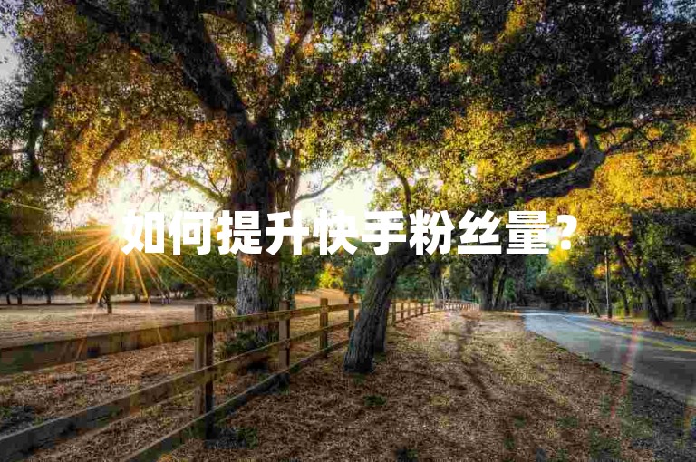如何提升快手粉丝量？