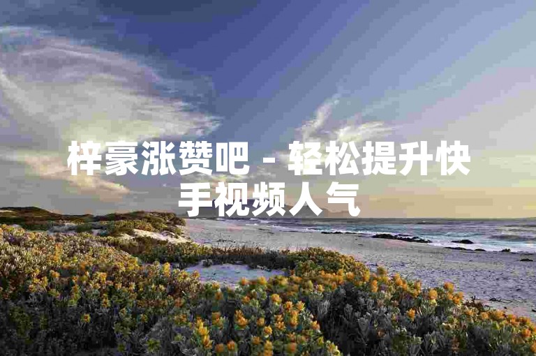 梓豪涨赞吧 - 轻松提升快手视频人气
