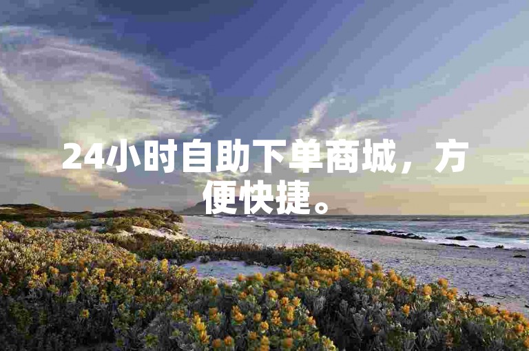 24小时自助下单商城，方便快捷。