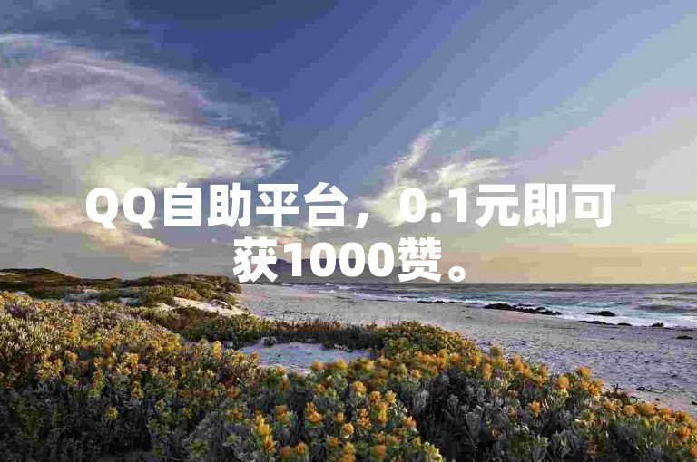 QQ自助平台，0.1元即可获1000赞。