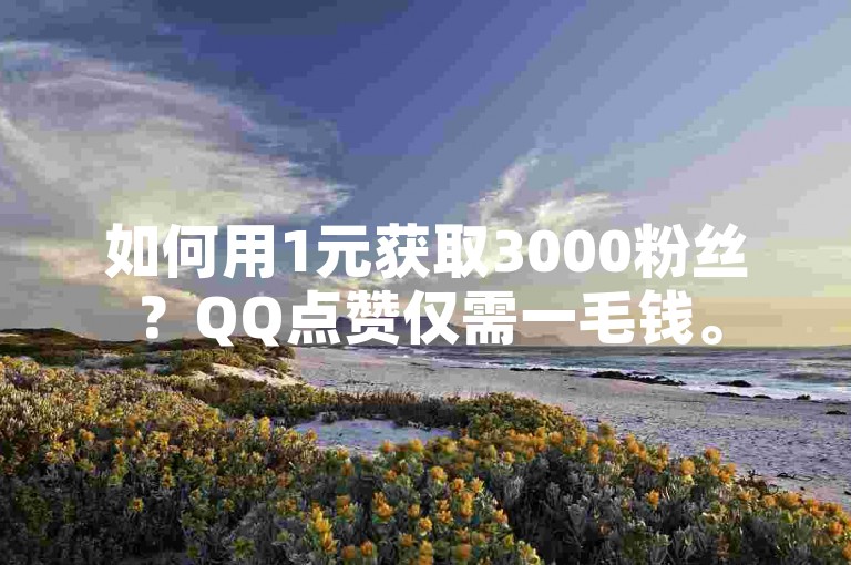 如何用1元获取3000粉丝？QQ点赞仅需一毛钱。