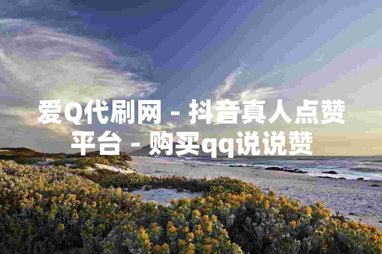 爱Q代刷网 - 抖音真人点赞平台 - 购买qq说说赞