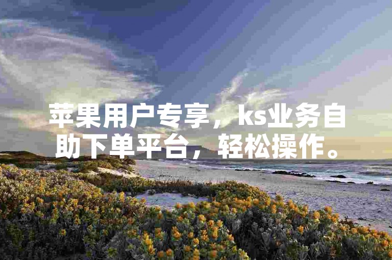 苹果用户专享，ks业务自助下单平台，轻松操作。