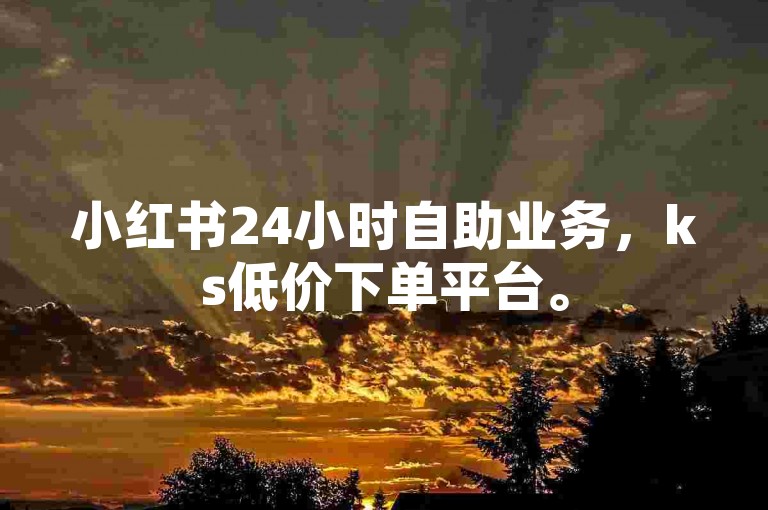 小红书24小时自助业务，ks低价下单平台。