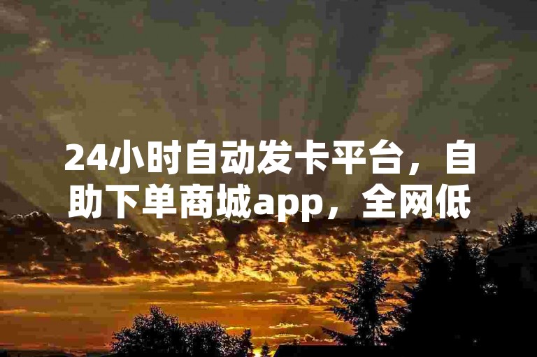 24小时自动发卡平台，自助下单商城app，全网低价会员批发。