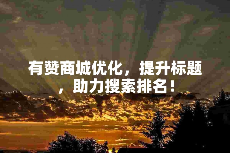 有赞商城优化，提升标题，助力搜索排名！