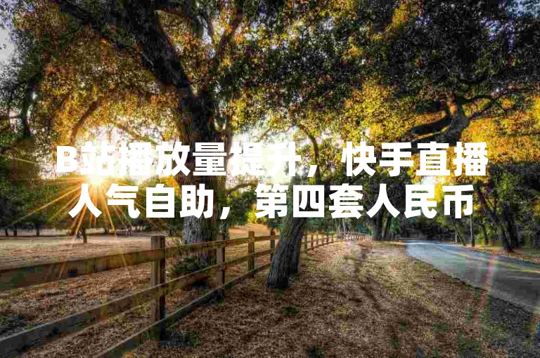 B站播放量提升，快手直播人气自助，第四套人民币使用指南。