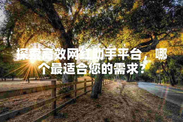 探索高效网红助手平台，哪个最适合您的需求？