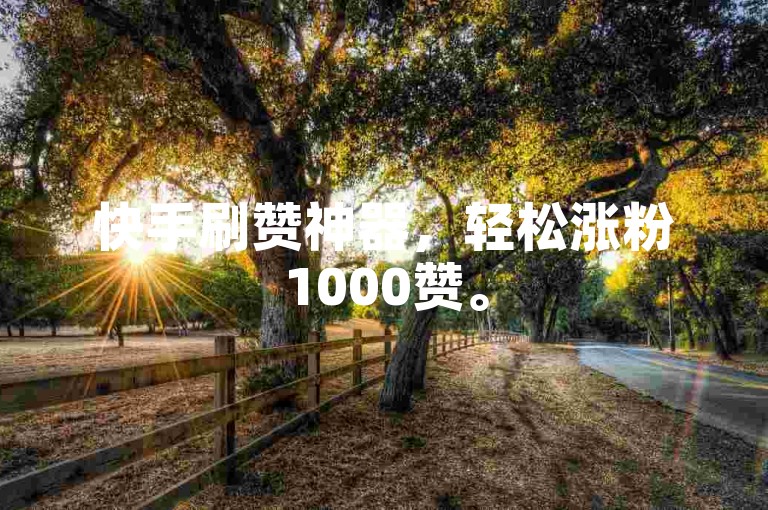 快手刷赞神器，轻松涨粉1000赞。