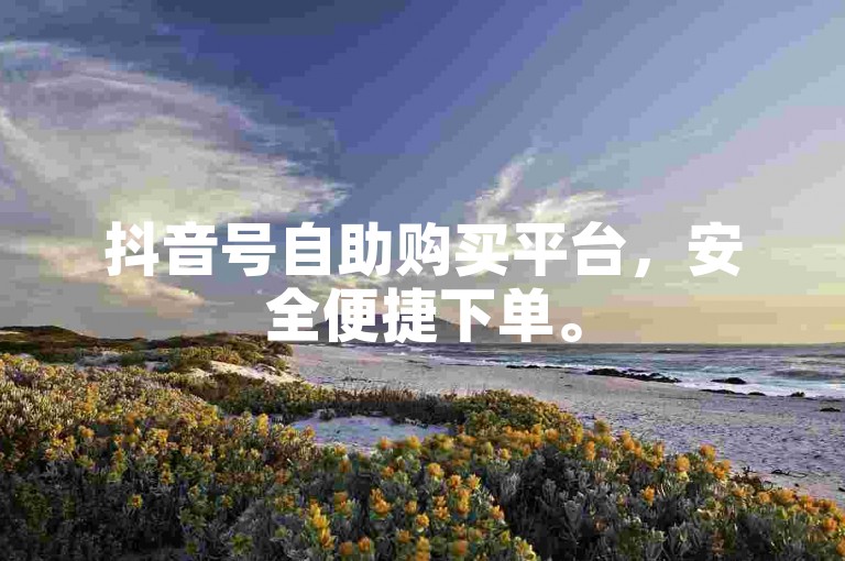 抖音号自助购买平台，安全便捷下单。