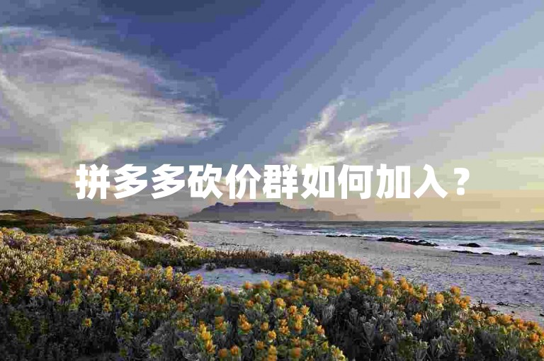 拼多多砍价群如何加入？