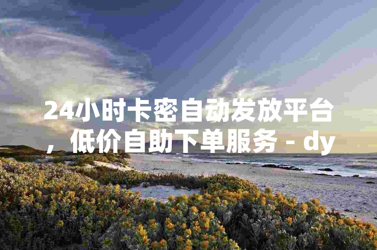 24小时卡密自动发放平台，低价自助下单服务 - dy24h自助商城。