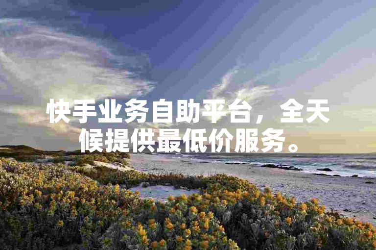 快手业务自助平台，全天候提供最低价服务。