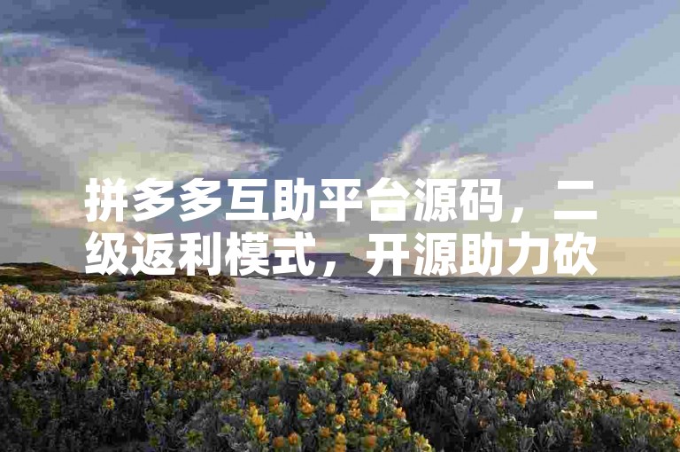 拼多多互助平台源码，二级返利模式，开源助力砍价。