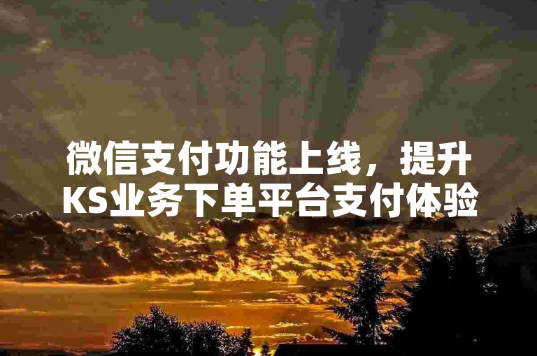 微信支付功能上线，提升KS业务下单平台支付体验。