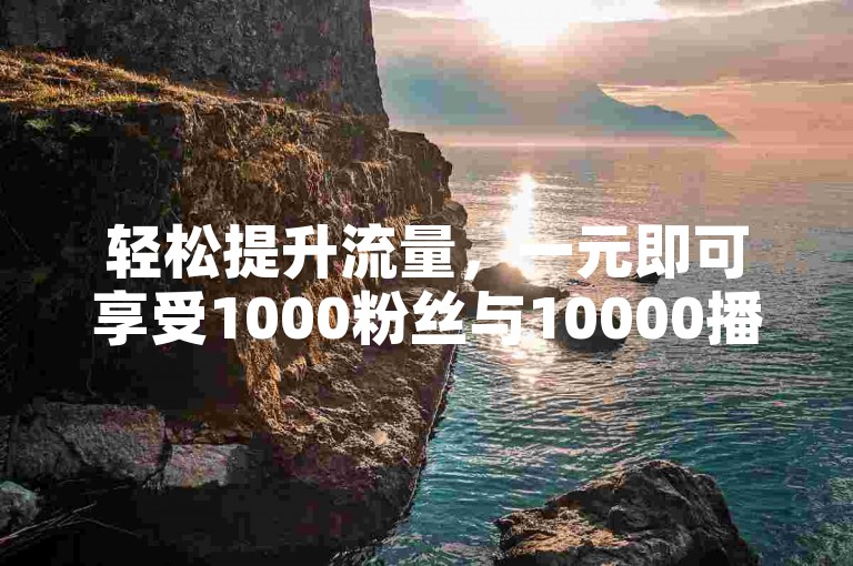 轻松提升流量，一元即可享受1000粉丝与10000播放量。