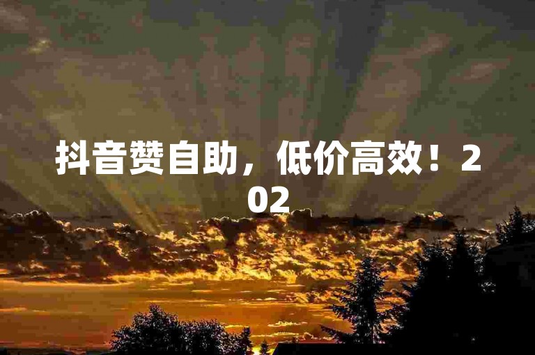 抖音赞自助，低价高效！2025必备技巧揭秘。