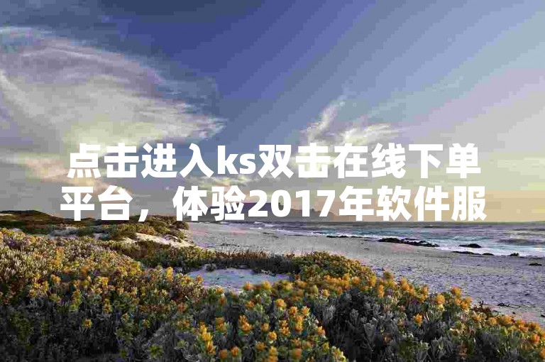 点击进入ks双击在线下单平台，体验2017年软件服务。
