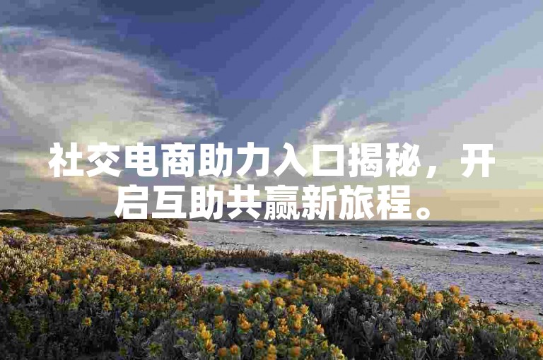社交电商助力入口揭秘，开启互助共赢新旅程。