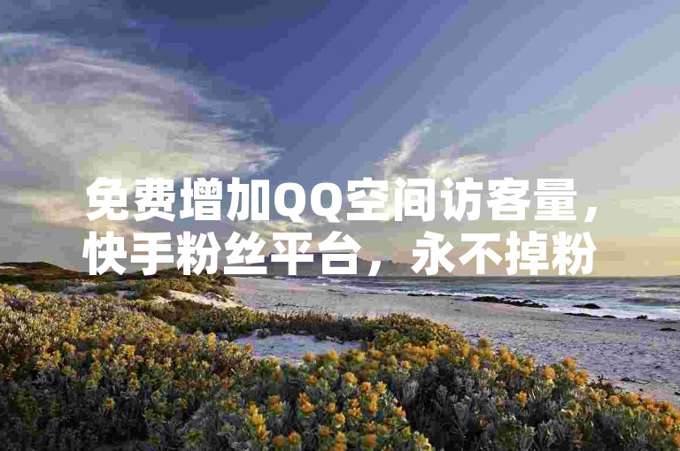 免费增加QQ空间访客量，快手粉丝平台，永不掉粉。