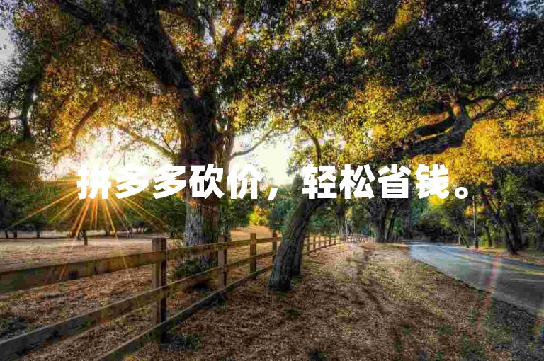 拼多多砍价，轻松省钱。