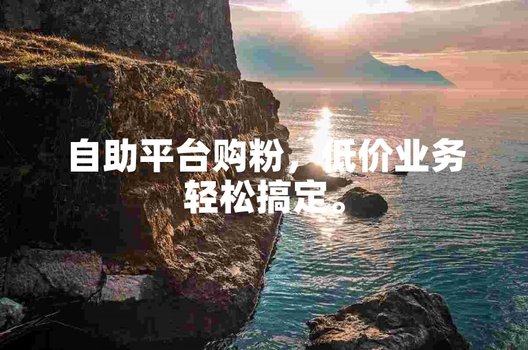 自助平台购粉，低价业务轻松搞定。