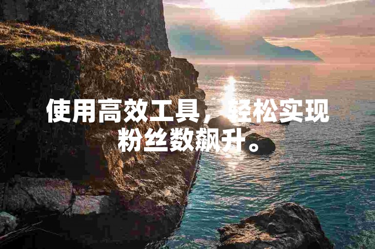 使用高效工具，轻松实现粉丝数飙升。