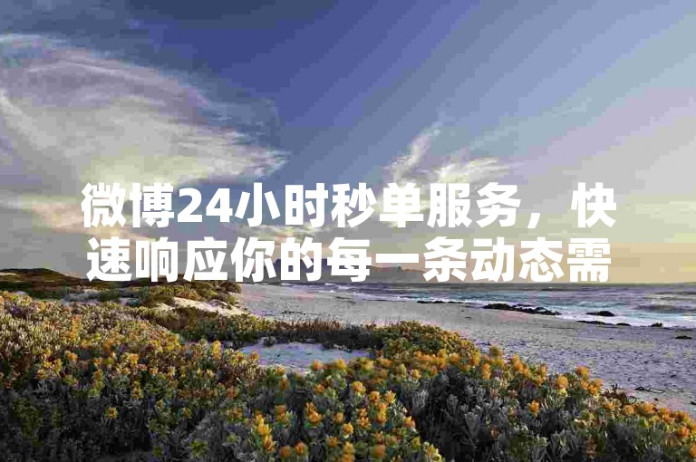 微博24小时秒单服务，快速响应你的每一条动态需求。