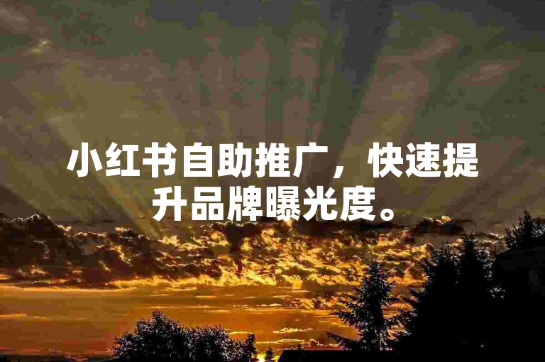 小红书自助推广，快速提升品牌曝光度。
