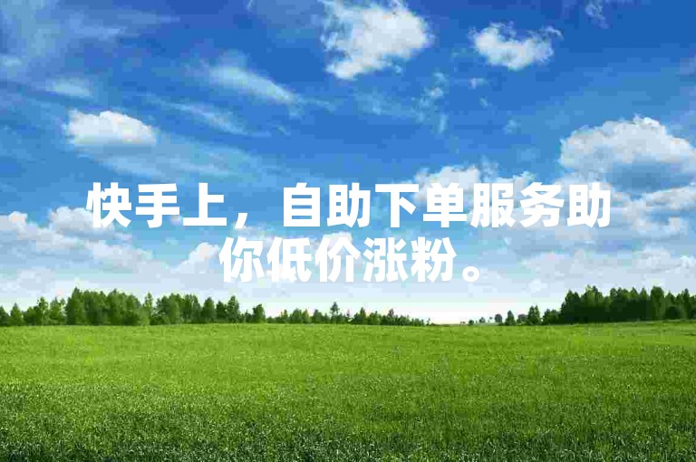 快手上，自助下单服务助你低价涨粉。
