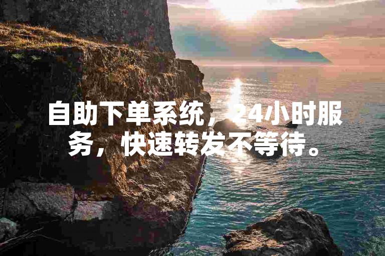 自助下单系统，24小时服务，快速转发不等待。