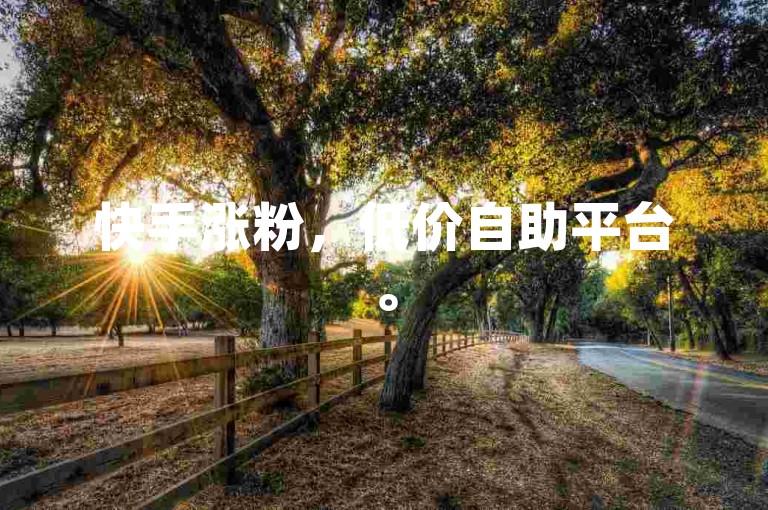 快手涨粉，低价自助平台。