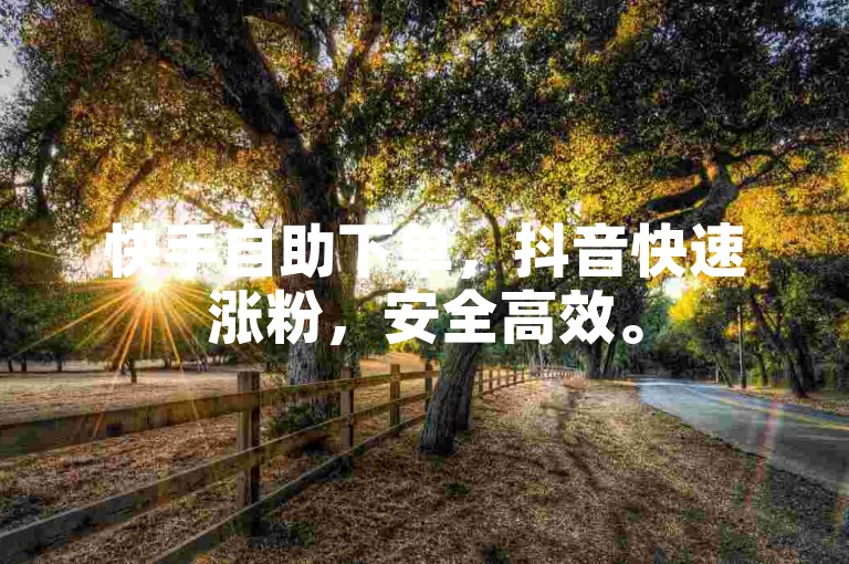快手自助下单，抖音快速涨粉，安全高效。