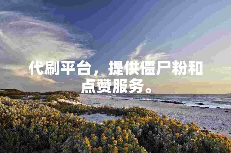 代刷平台，提供僵尸粉和点赞服务。