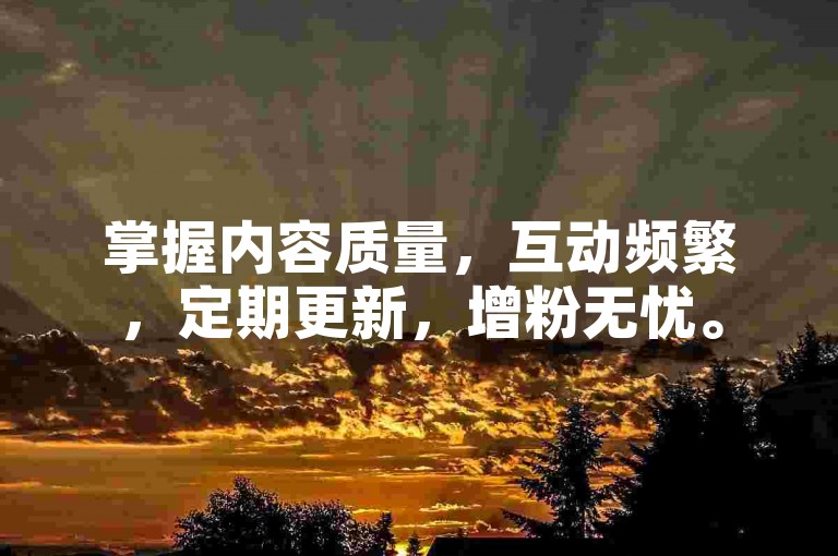 掌握内容质量，互动频繁，定期更新，增粉无忧。