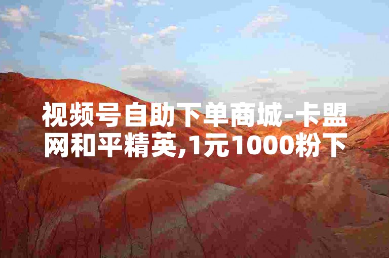 视频号自助下单商城-卡盟网和平精英,1元1000粉下单平台