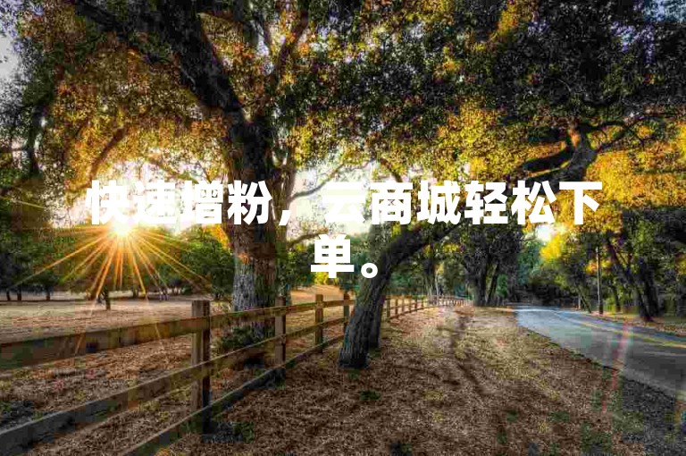 快速增粉，云商城轻松下单。