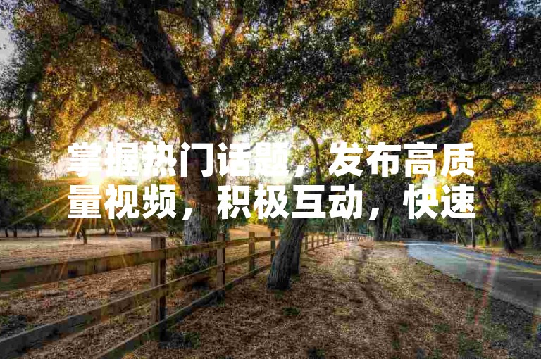 掌握热门话题，发布高质量视频，积极互动，快速增粉。