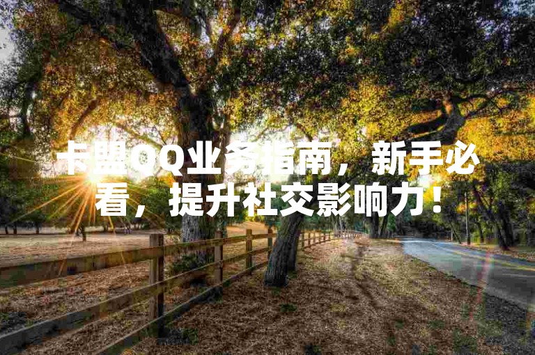 卡盟QQ业务指南，新手必看，提升社交影响力！