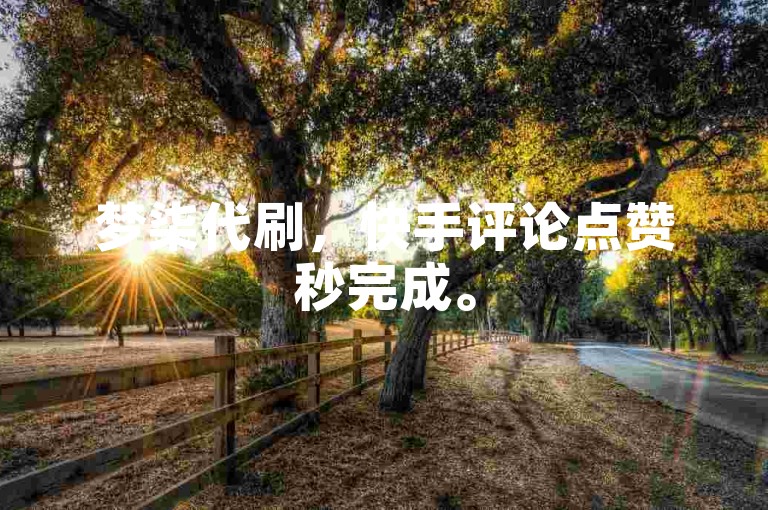 梦柒代刷，快手评论点赞秒完成。